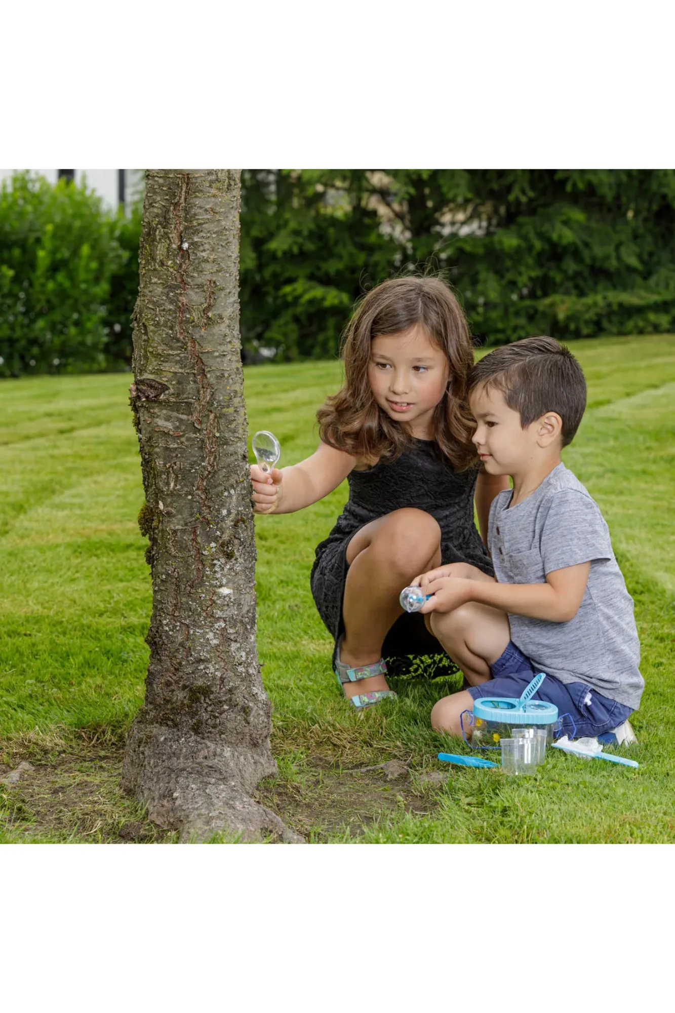 Backyard Nature Explorer Set