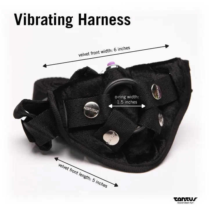 Bend Over Beginner Harness Kit Purple(out Mid April)