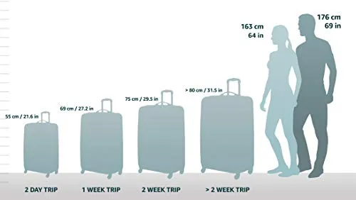 Briggs & Riley Transcend-Softside Carry-On Spinner Luggage, Merlot, 22-Inch
