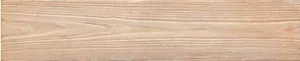 Dry Oak