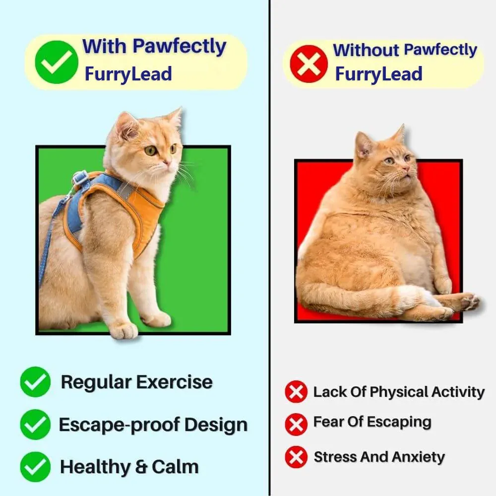 FurryLead Cat Harness And Leash Set