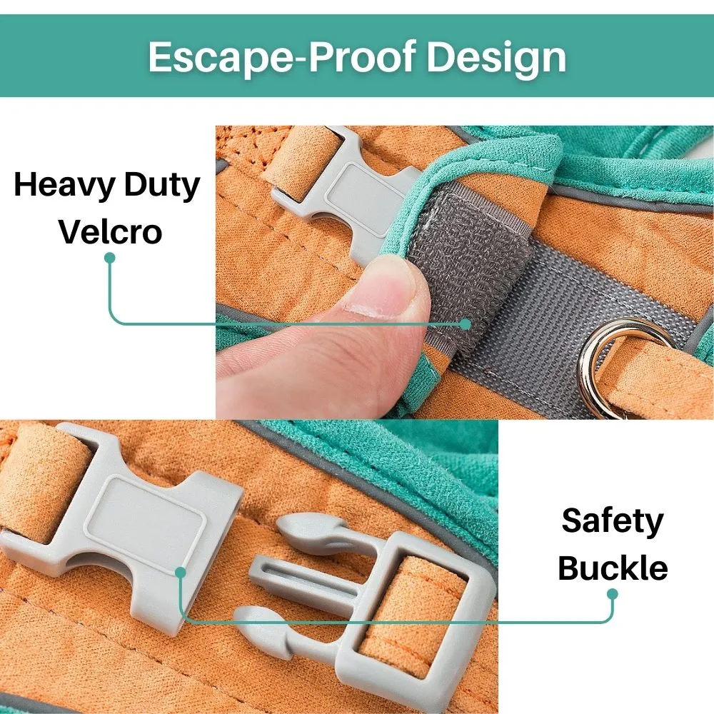 FurryLead Cat Harness And Leash Set
