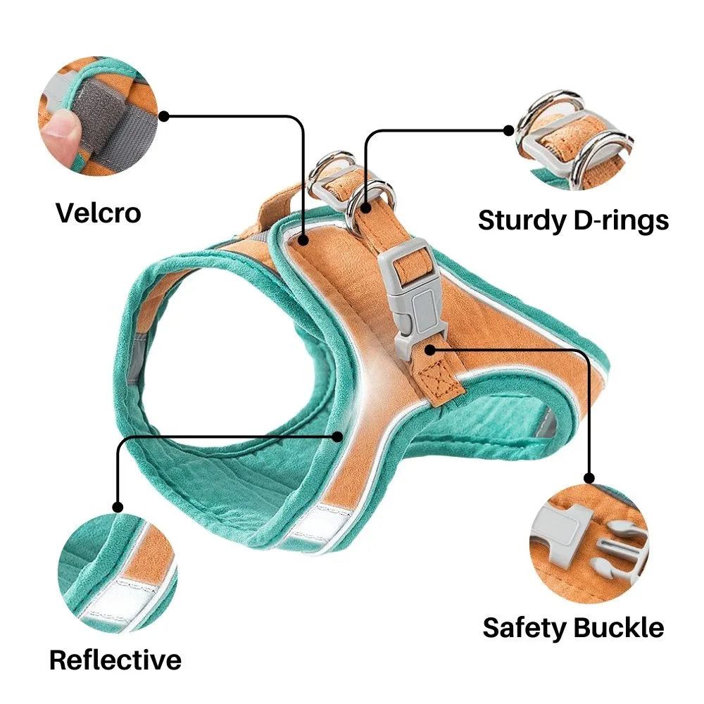 FurryLead Cat Harness And Leash Set