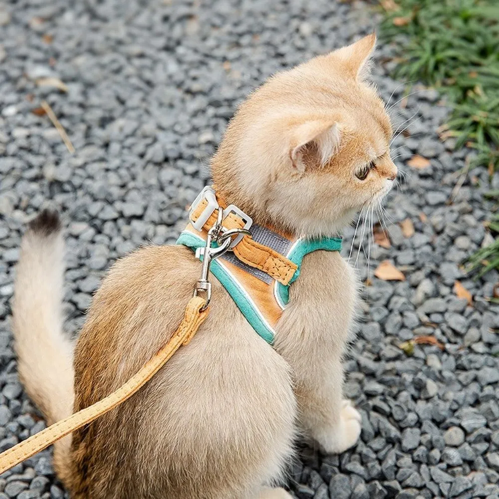 FurryLead Cat Harness And Leash Set