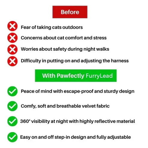 FurryLead Cat Harness And Leash Set