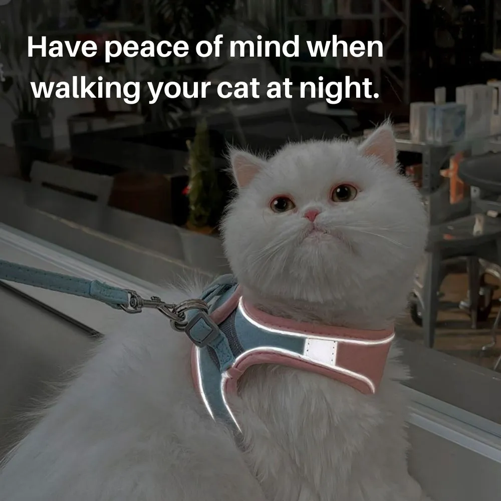 FurryLead Cat Harness And Leash Set