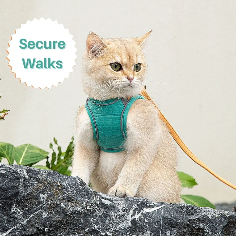 FurryLead Cat Harness And Leash Set