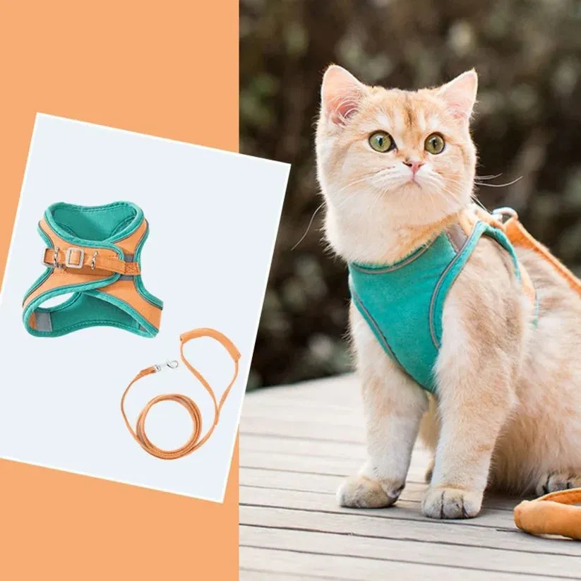 FurryLead Cat Harness And Leash Set
