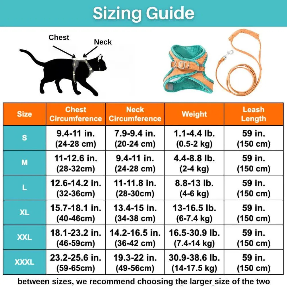 FurryLead Cat Harness And Leash Set
