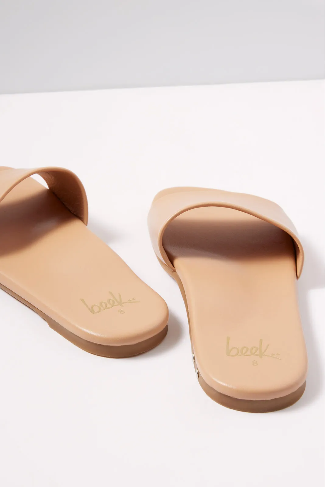 HoneyBird Slide