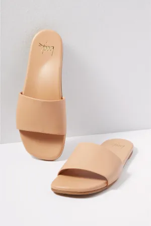 HoneyBird Slide