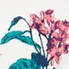 Petite Butterfly-Print Flare Dress